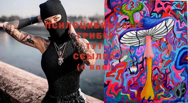 Альфа ПВП Магас