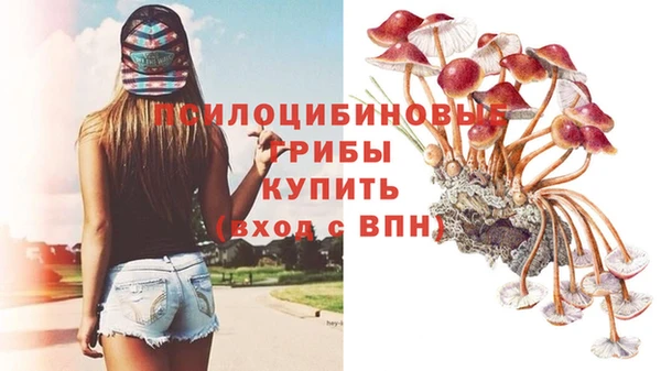 мяу мяу кристалл Лихославль
