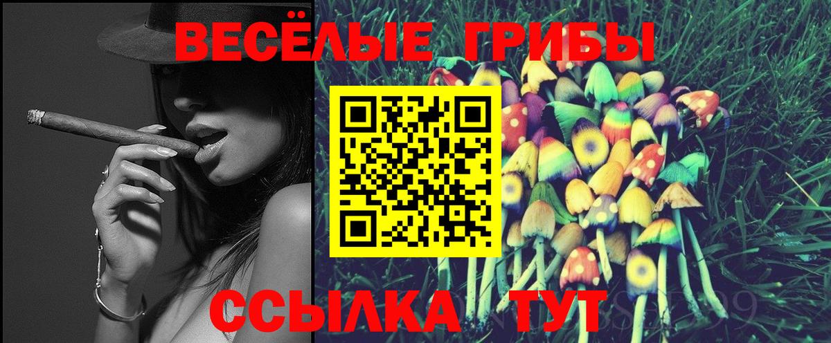 Петрозаводск  Галлюциногенные грибы ЛСД  Вход с VPN 