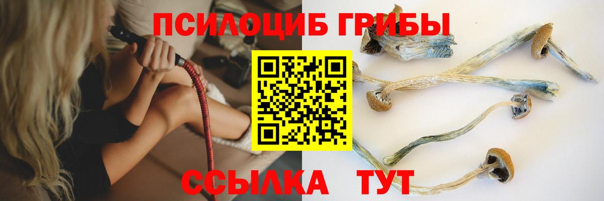 Галлюциногенные грибы Magic Shrooms Петрозаводск