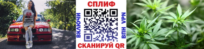 Бошки марихуана конопля  Петрозаводск 